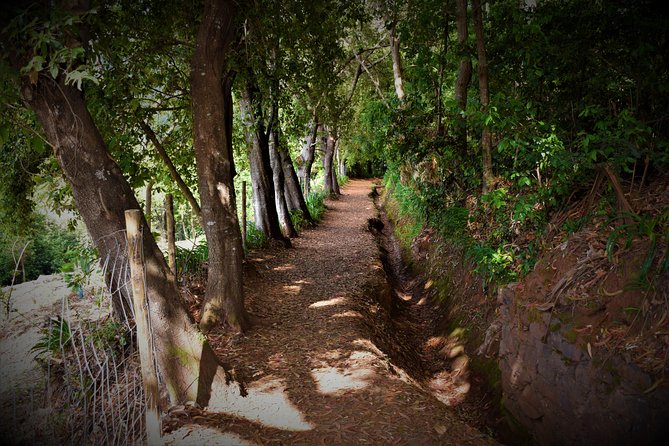 Paradise Valley Beauty Walk - Weather matters for this walk, and that affects your best booking strategy