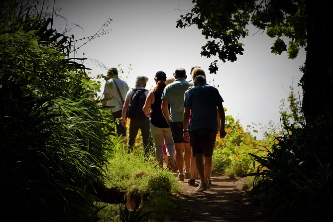 Paradise Valley Beauty Walk - The guide makes the difference, especially with plant talk
