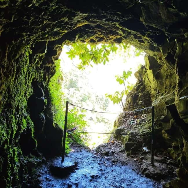 Pico Arieiro, Santana, São Lourenço & more – Full Day+PickUp - Ponta de São Lourenço: rugged cliffs and an end-of-the-world feel