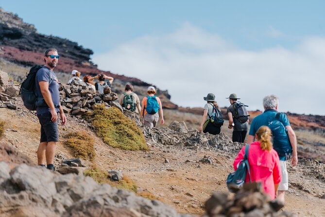 Ponta de São Lourenço (PR 8) - Hiking Tour in Madeira - Price and value: what $55.26 really buys you