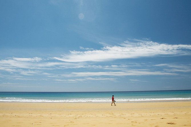 Porto Santo One-Day Cruise and Tour - Casa da Serra and Pico Castelo: culture meets the island’s volcanic shape