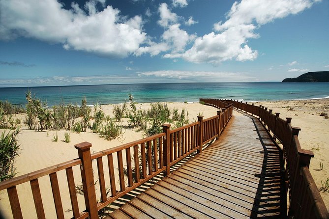Porto Santo One-Day Cruise and Tour - Guide style and group size: up to 20 people and real conversation time