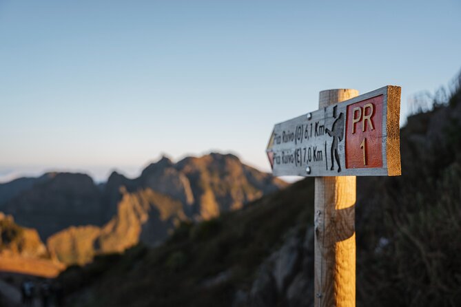 PR1 Pico do Arieiro Self-Guided Hiking Transfer (Morning slot) - What the end of the hike feels like: Ecological Park, donkeys, hot chocolate