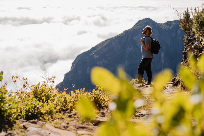 PR1 Sunrise Pico do Arieiro Self-Guided Hiking Transfer - Pickup at 5:30 am: how the morning run actually feels