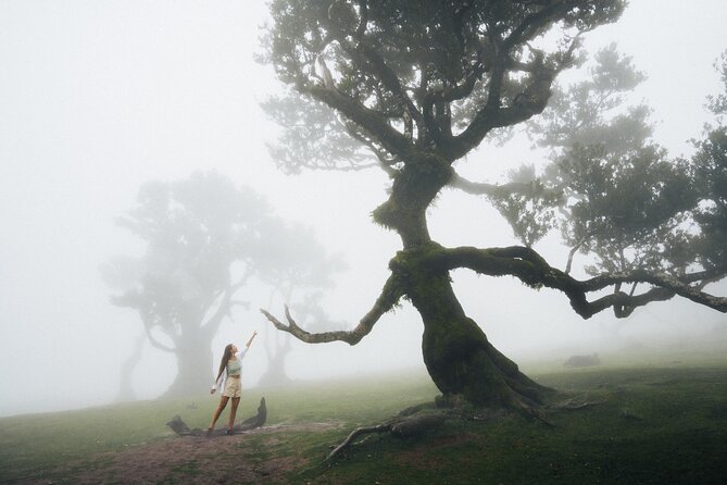 PR13 Vereda do Fanal Mystical Self-Guided Hiking with Transfer - Key points before you go