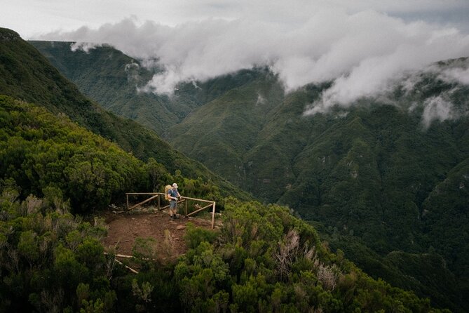 PR13 Vereda do Fanal Mystical Self-Guided Hiking with Transfer - Vereda do Fanal, and why this PR13 hike works on Madeira
