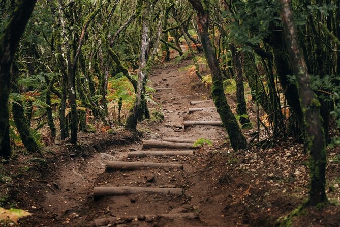 PR13 Vereda do Fanal Mystical Self-Guided Hiking with Transfer - Start time and pacing: what a 7-hour day really feels like