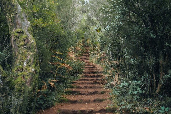 PR13 Vereda do Fanal Mystical Self-Guided Hiking with Transfer - Stop 2, Posto Florestal Fanal: your transition point and the fee moment