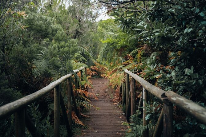 PR13 Vereda do Fanal Mystical Self-Guided Hiking with Transfer - Price and what $41.12 buys you in the real world