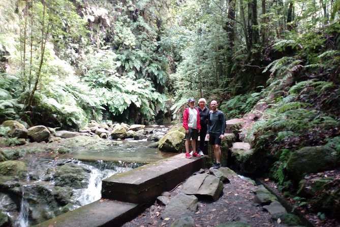 PR18 Levada do Rei with Local Guide - Levada do Rei feels like walking inside a living system