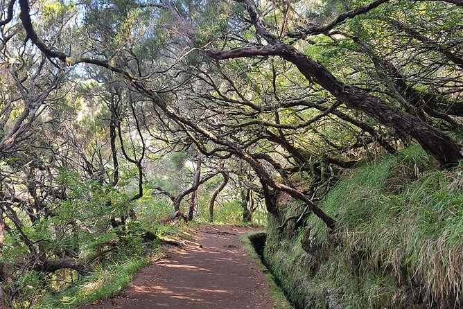 PR6 & PR6.1 25 Fontes & Risco Levada Self-Guided Hiking Rabaçal - Key Highlights You’ll Feel From Day One
