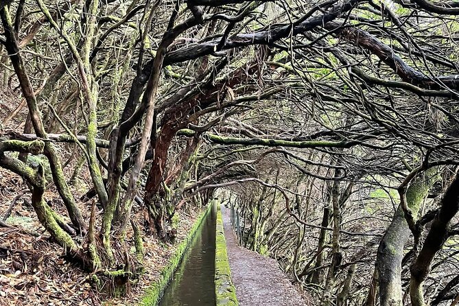 PR6 & PR6.1 25 Fontes & Risco Levada Self-Guided Hiking Rabaçal - Why This 25 Fontes and Risco Levada Day Works So Well