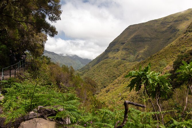PR6 & PR6.1 25 Fontes & Risco Levada Self-Guided Hiking Rabaçal - Calheta and Ponta do Sol: What You’ll See on the Way Back