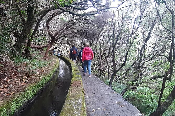 PR6 & PR6.1 25 Fontes & Risco Levada Self-Guided Hiking Rabaçal - Price and Value: What You’re Really Paying For