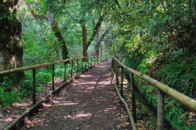 PR9 Caldeirão Verde Queimadas Levada Self-Guided Hiking Transfer - Key Points That Matter Before You Go