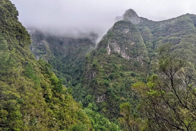 PR9 Caldeirão Verde Queimadas Levada Self-Guided Hiking Transfer - Stop 2: Caldeirão Verde Self-Guided Hike in Laurissilva Forest