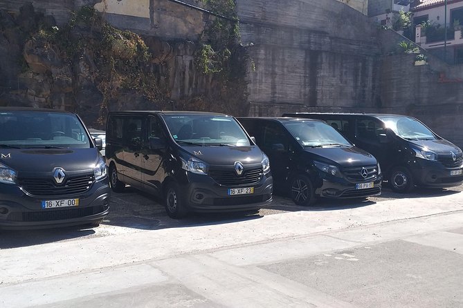 Private airport transfer to Funchal 8 people more return - Key highlights at a glance