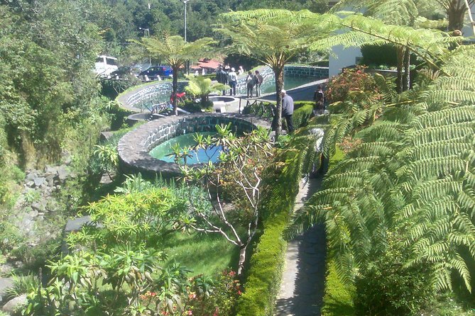 Private - Balcões Walk & A-Framed Houses Tour - Stop 3: Ribeiro Frio, Laurissilva Forest, and the Cold River Ponds