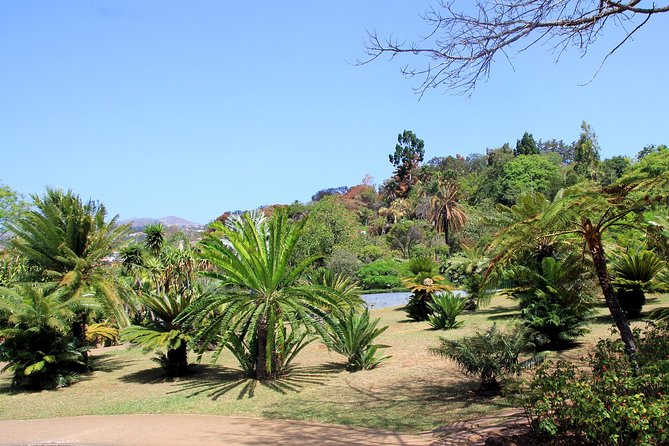 Private Botanical Garden Tour - Price and value for a private group up to 3