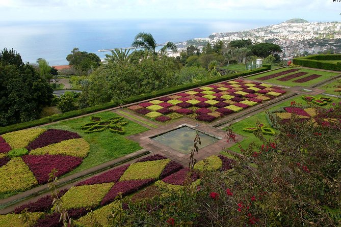 Private Botanical Garden Tour - Pickup around Funchal, plus cruise ship options