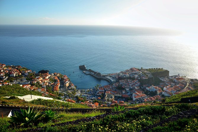 Private Câmara de Lobos Fishing Village Tour - Who this private tour suits best, plus the few rules to know