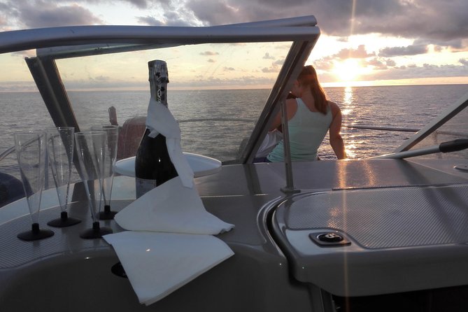 Private Dolphin and Whale Watching Tour in Madeira - Key highlights you will actually care about