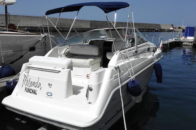 Private Dolphin and Whale Watching Tour in Madeira - Where the tour starts: On Tales in Calheta Marina