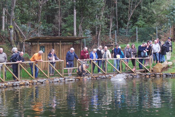 Private Full Day 4X4 Experience: East or West - Porto Moniz Natural Swimming Pools: A Volcanic Break From Pure Viewpoints