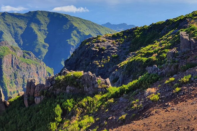 Private Full Day Off-Road Tour in Madeira - Off-Road Madeira: what this day gets right fast