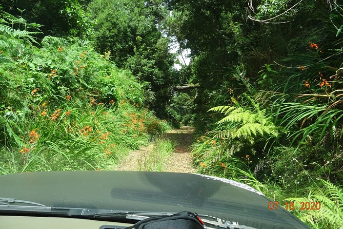 Private Full Day Off-Road Tour in Madeira - Your guide can make or break the day