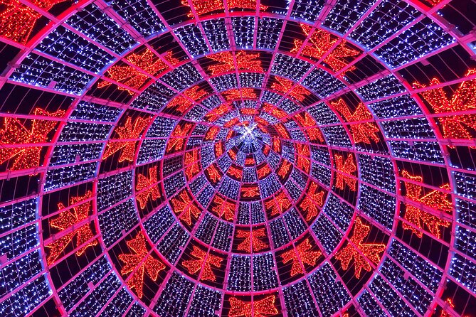 Private Funchal Christmas Light Tour - Price and value: what $157.28 per group actually buys