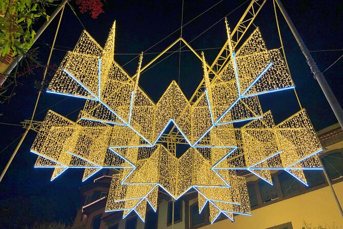 Private Funchal Christmas Light Tour - Who this tour is best for in Funchal