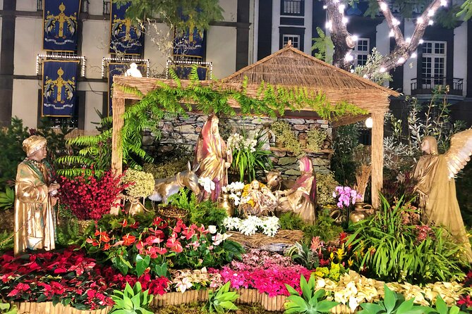 Private Funchal Christmas Light Tour - Quick practical checklist before you go