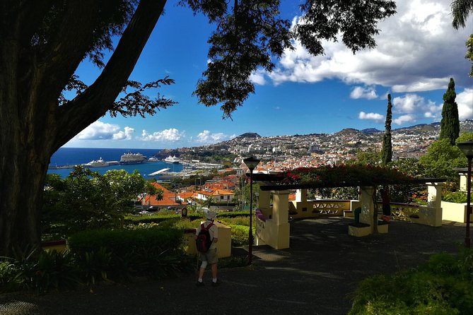 Private Funchal City Tour by Tukxi - Quinta das Cruzes: When Old Madeira Turns Into a Museum Stop