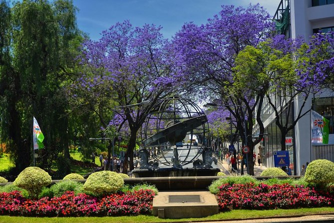 Private Funchal City Tour by Tukxi - Pickup, Timing, and How the 90 Minutes Fit Real Days