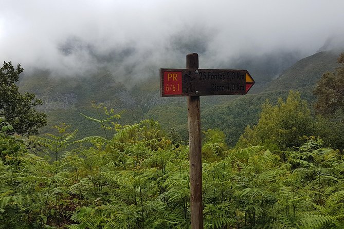 Private Guided Walk Levada 25 Fontes - Guide moments and small insights, like Mario’s levada stories