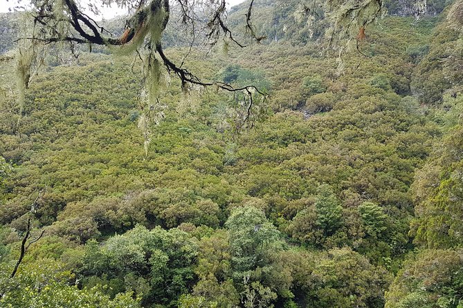 Private Guided Walk Levada 25 Fontes - Clothing, timing, and comfort: what to bring for a 5-hour wet-and-wild walk