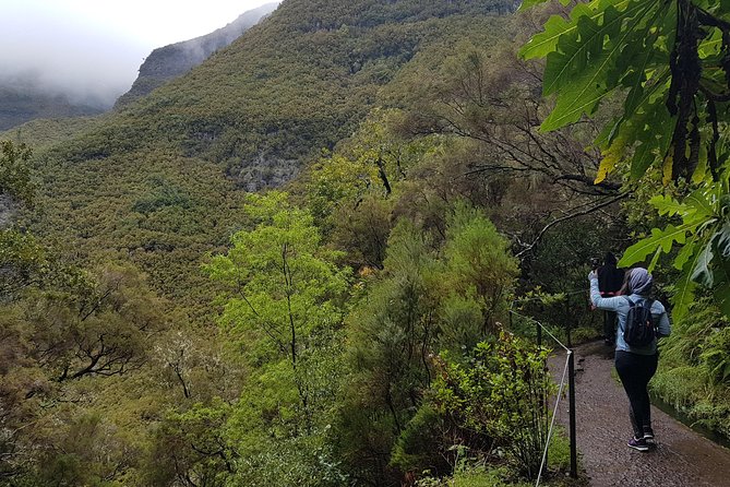 Private Guided Walk Levada 25 Fontes - Price and value: what $107.84 per person gets you on Madeira