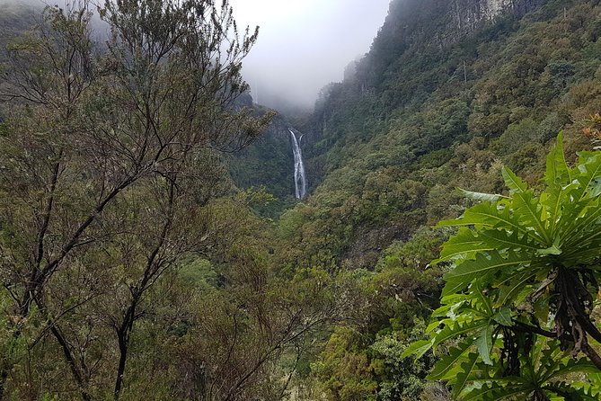 Private Guided Walk Levada 25 Fontes - So, should you book the Private Guided Walk Levada 25 Fontes?