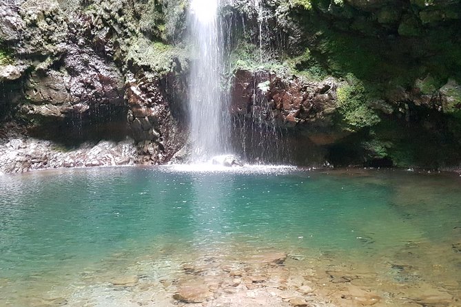Private Guided Walk Levada Caldeirao Verde - From Funchal to Pico das Pedras, With the Levadas Already in Mind
