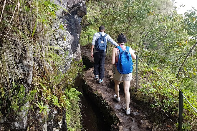 Private Guided Walk Levada Caldeirao Verde - Views Over São Jorge and the Mountains: Your Mid-Walk Reward