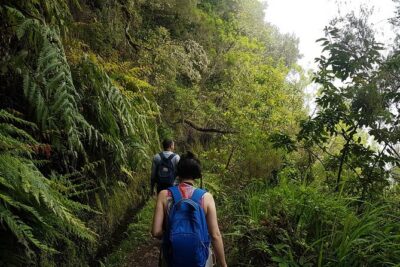 Private Guided Walk Levada Caldeirao Verde