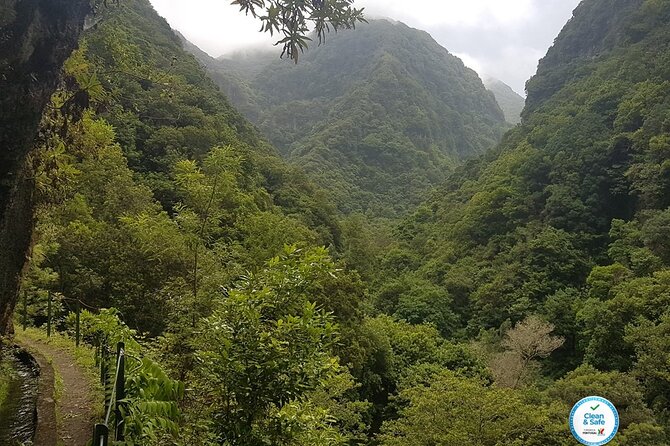 Private Guided Walk Levada Castelejo - Where the Day Starts: Pickup Near Porto da Cruz and a Levada Mindset