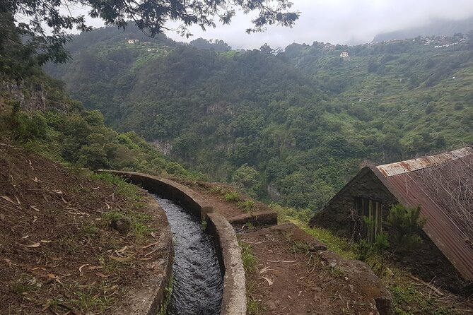Private Guided Walk Levada Castelejo - The Levada Castelejo Walk: A Half-Day Nature Route With Real Character