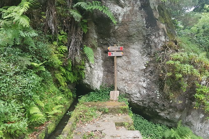 Private Guided Walk Levada Castelejo - Timing, Weather, and Why This Walk Works in Real Life