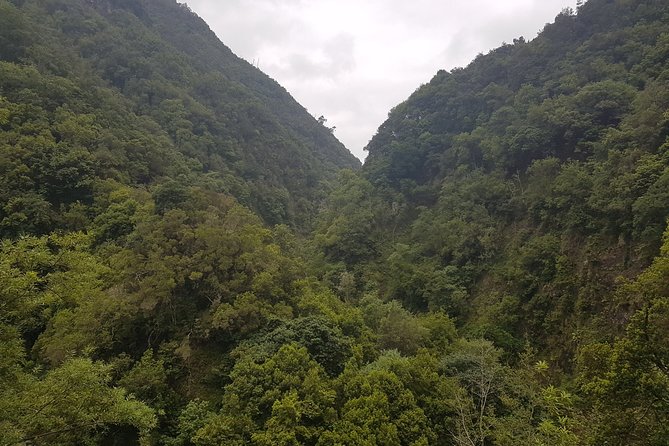 Private Guided Walk Levada Castelejo - Value for Money: Why Private Pickup Beats DIY Here
