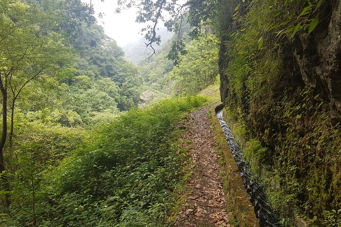 Private Guided Walk Levada Castelejo - Who This Tour Fits Best (and Who Might Prefer Something Else)