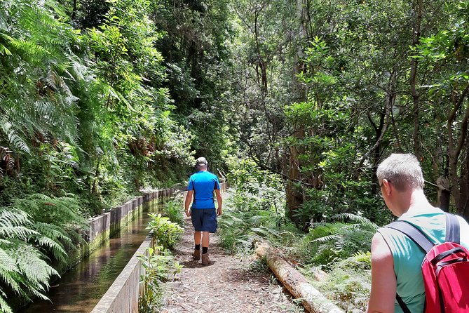 Private Guided Walk Levada Faja dos Rodrigues half-day - Why This Levada Walk Feels Worth It