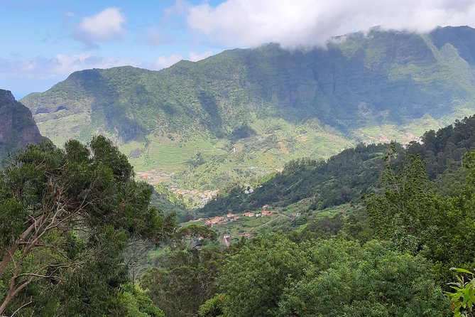Private Guided Walk Levada Faja dos Rodrigues half-day - The Real Star: Guided Levada Nature With Flora, Birds, and Water
