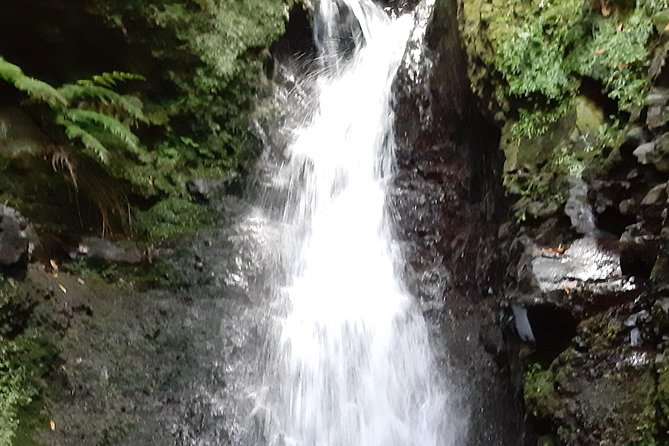 Private Guided Walk Levada Faja dos Rodrigues half-day - Waterfalls and Lagoons at the Levada Start: The Moment You’ll Remember